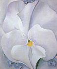 White Pansy by Georgia O'Keeffe